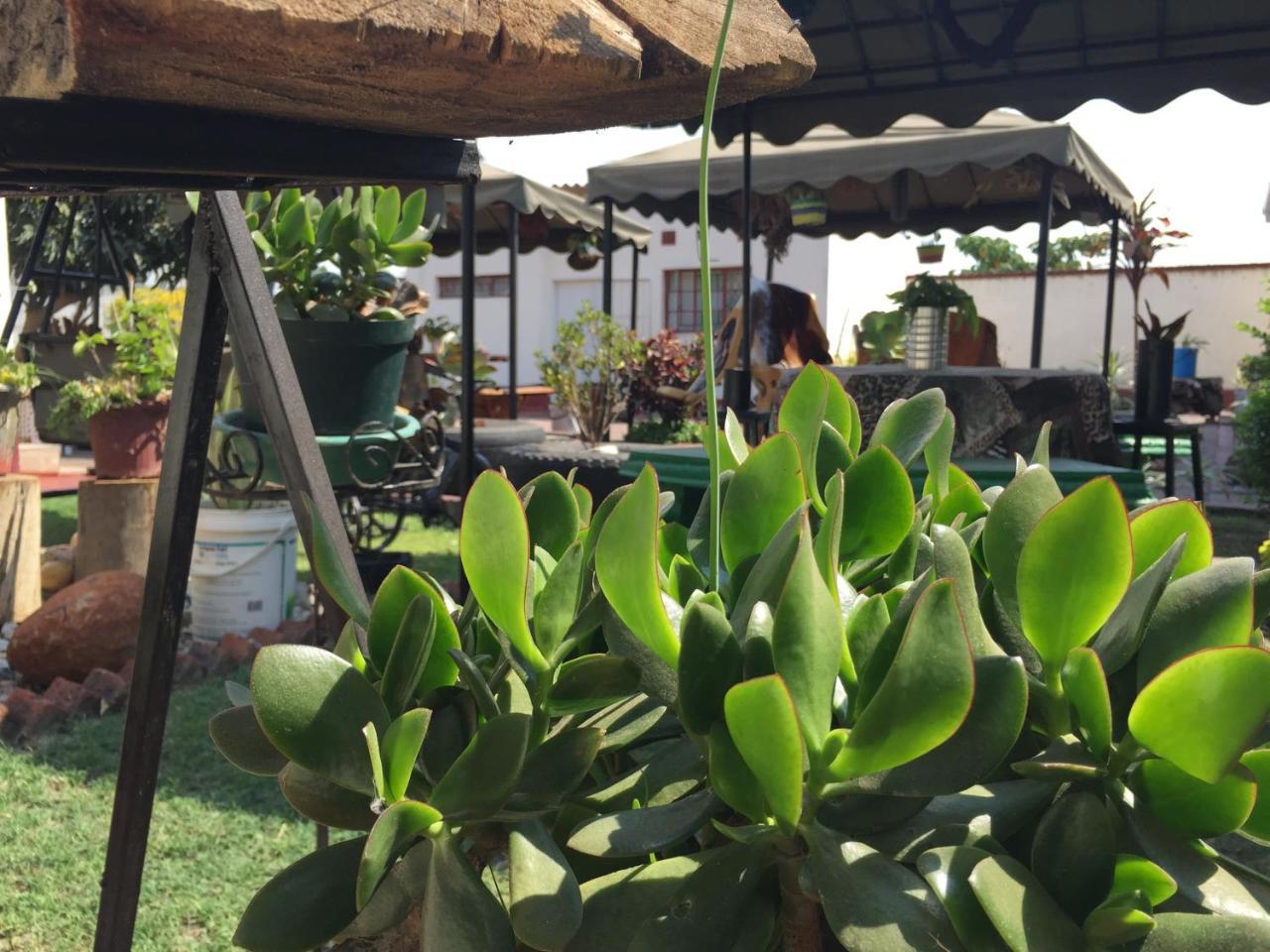 Kwampofu Guest House Harare Ngoại thất bức ảnh