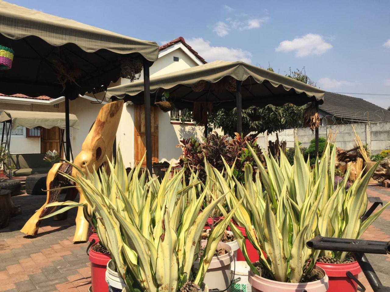 Kwampofu Guest House Harare Ngoại thất bức ảnh